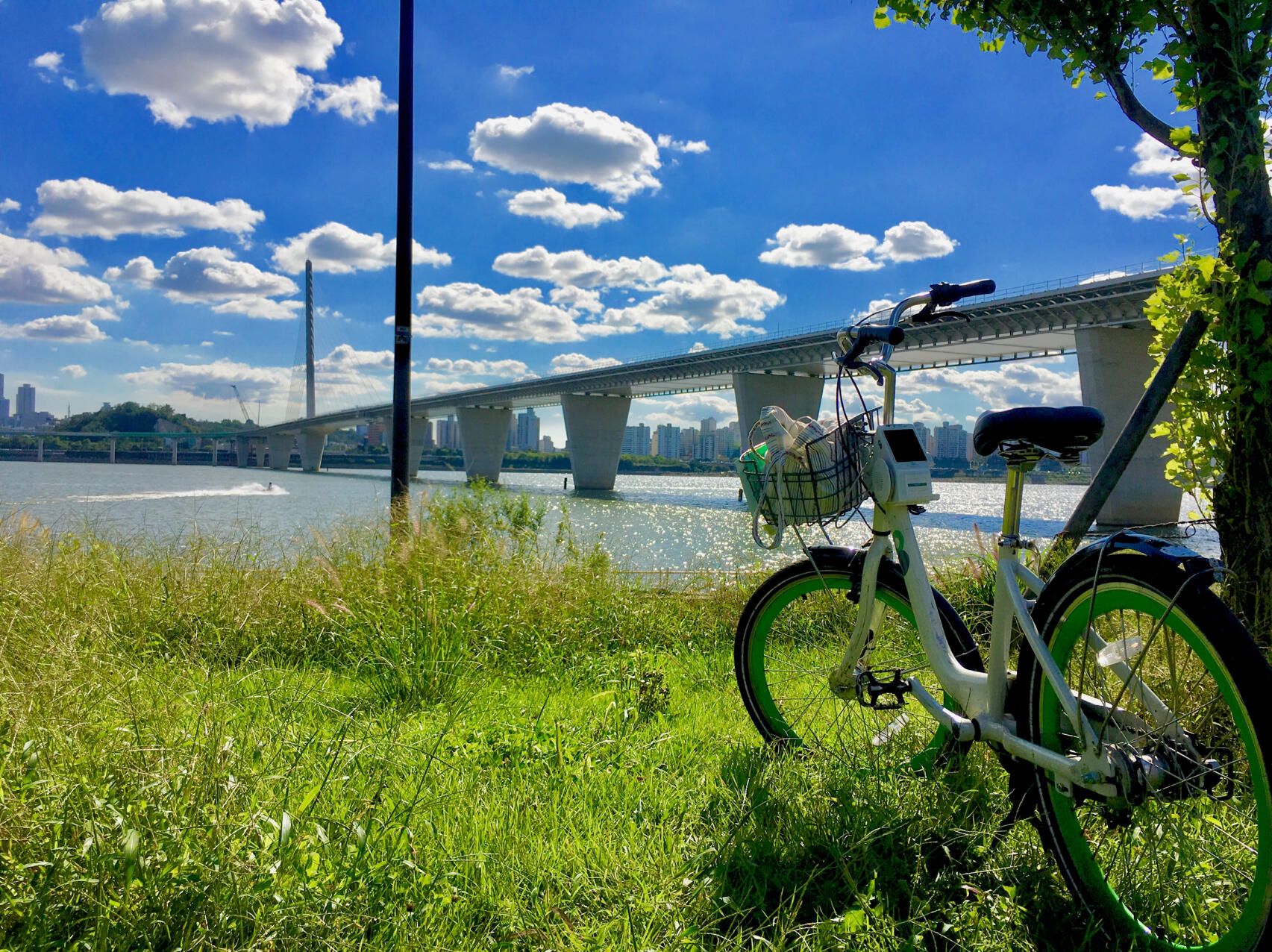 액티비티 데이트